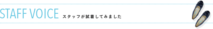 STAFF VOICE